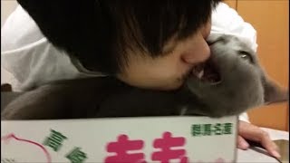 大仏の正体は飼い主だった！しかもキッスしてくる！