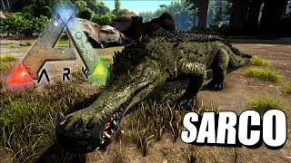 Taming A Sarco Ark Survival Evolved The Island