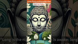 Daily Buddhist Quote #14 | Find Your Blessing #buddhist #motivation #quotes by #findyourblessing