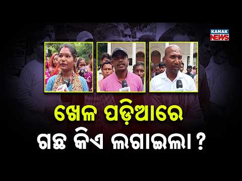 ଖେଳ ପଡ଼ିଆରେ ଗଛ କିଏ ଲଗାଇଲା ? Odisha Village Playground Dispute | Who Planted Trees on the Ground?