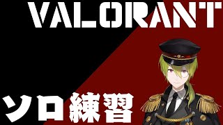 【VALORANT】ソロ練習！今日はガッツリやるぞ【渋谷ハジメ/にじさんじ】