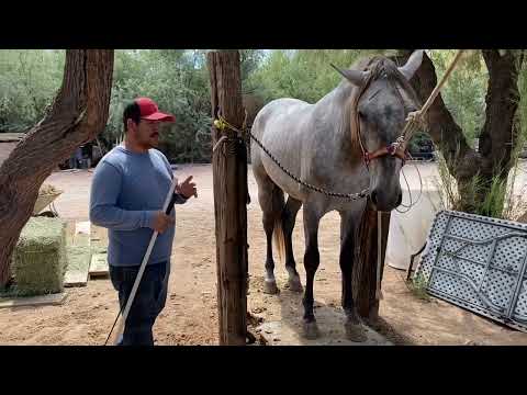 Como empezar un