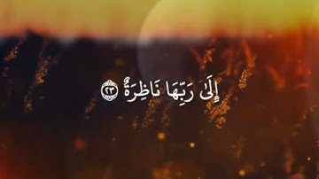 الشيخ محمد جبريل | سورة القيامة ٢٦ - ١٢ - ٢٠٢٤ مــ | نورث كارولينا USA