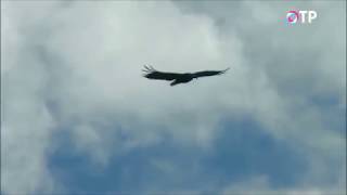 видео: Люди плато Путорана ч2 картинка: Люди плато Путорана ч2