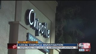 Dirty Dining: Chipotle Mexican Grill