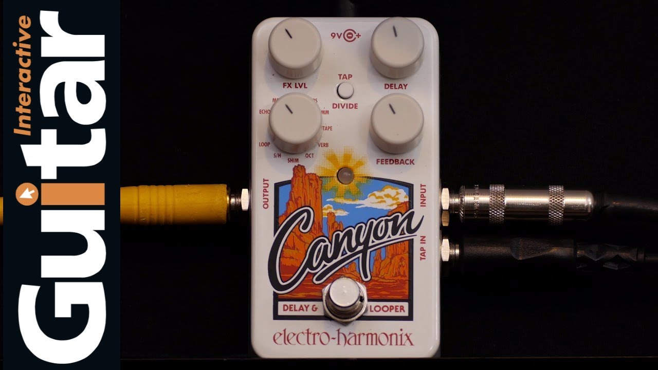 electro harmonix Canyonの+inforsante.fr