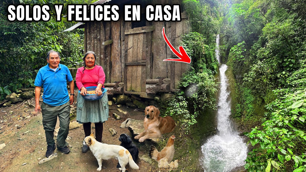 Viven SANA y FELIZMENTE en un SOLITARIO BOSQUE con sus ANIMALES | NUEVA ITALIA 