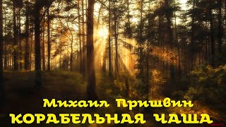 Михаил Пришвин - Корабельная чаща / Моноспектакль / Русская и Советская Литература