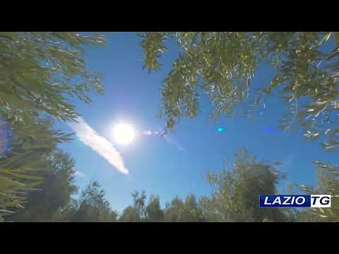 Video 08-07-2026 - Terza ondata di caldo nel Lazio, temperature sopra la media anche a Latina e Frosinone
