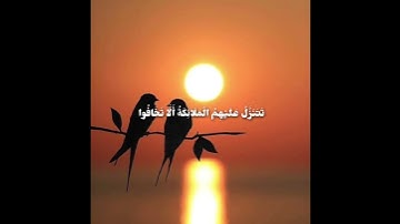 اكتب شيئ تؤجر عليه #مشاري_راشد_العفاسي #سورة_فصلت #القرآن_الكريم #foryou #اكسبلور #fypシ゚ #راحة_نفسية