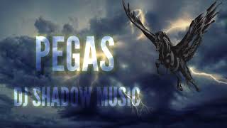 Pegas • DJ Shadow Music (Official audio)