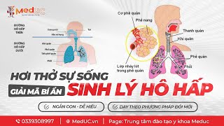 [Sinh Lý Hô Hấp] | #1 Các Thành Phần Tham Gia Hô Hấp | Trung Tâm Đào Tạo Y Khoa MedUC