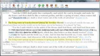 Preacher's Outline & Sermon Bible on Wordsearch 9