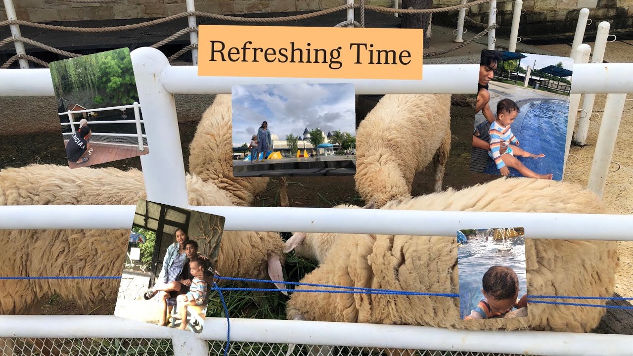 DAILY VLOG || EDISI REFRESHING, BAYIK MENGENAL AIR KOLAM