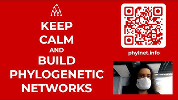 Phylogenetic networks: how advanced are the methods?
