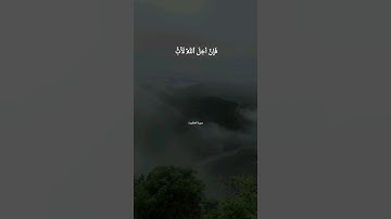 قران كريم بصوت جميل جدا القارئ شريف مصطفى 🍃