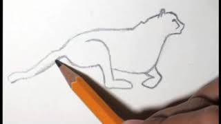 How to Draw a Cheetah In 7 EASY Steps - GREAT for Kids & Beginners