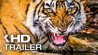 TIGER Trailer (2024)