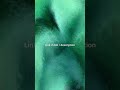 Fata Morgana – Techno Visual | OUT NOW #melodictechno #musicatechno #187rec #electronicmusic