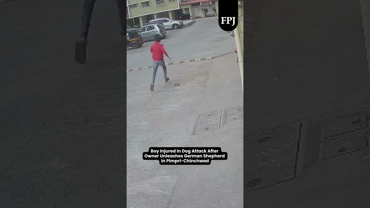 Boy Injured in Dog Attack After Owner Unleashes German Shepherd in Pimpri-Chinchwad