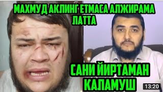 БУ КАЗЗОБ ЁЛГОНЧИ ЖОНГА ТЕГИБ КЕТДИ МАХМУД АБДУЛМУМИН КИС..