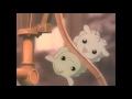 I remember Kokomon amv