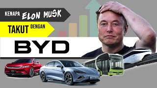 Asal-Usul BYD: Kenapa Elon Musk Goyang