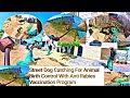 Street Dog's Catching For Vaccine | Goku Boy Amazing Dog Catch | Dog Catching Municipality #dog