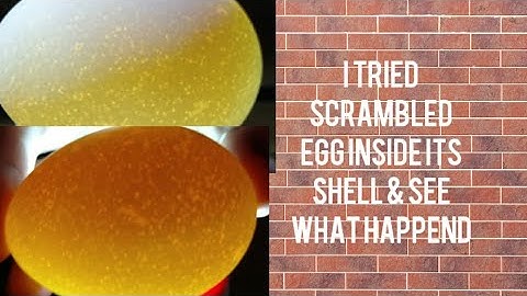 I tried scrambled egg inside its shell