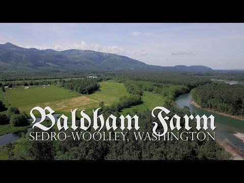 Video: De Bedste Ting At Gøre I Skagit County, Washington, Tulipanfestival