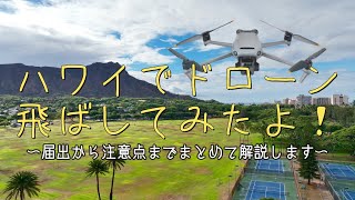 ハワイでドローン飛ばしてみた！〜飛行ポイントの紹介