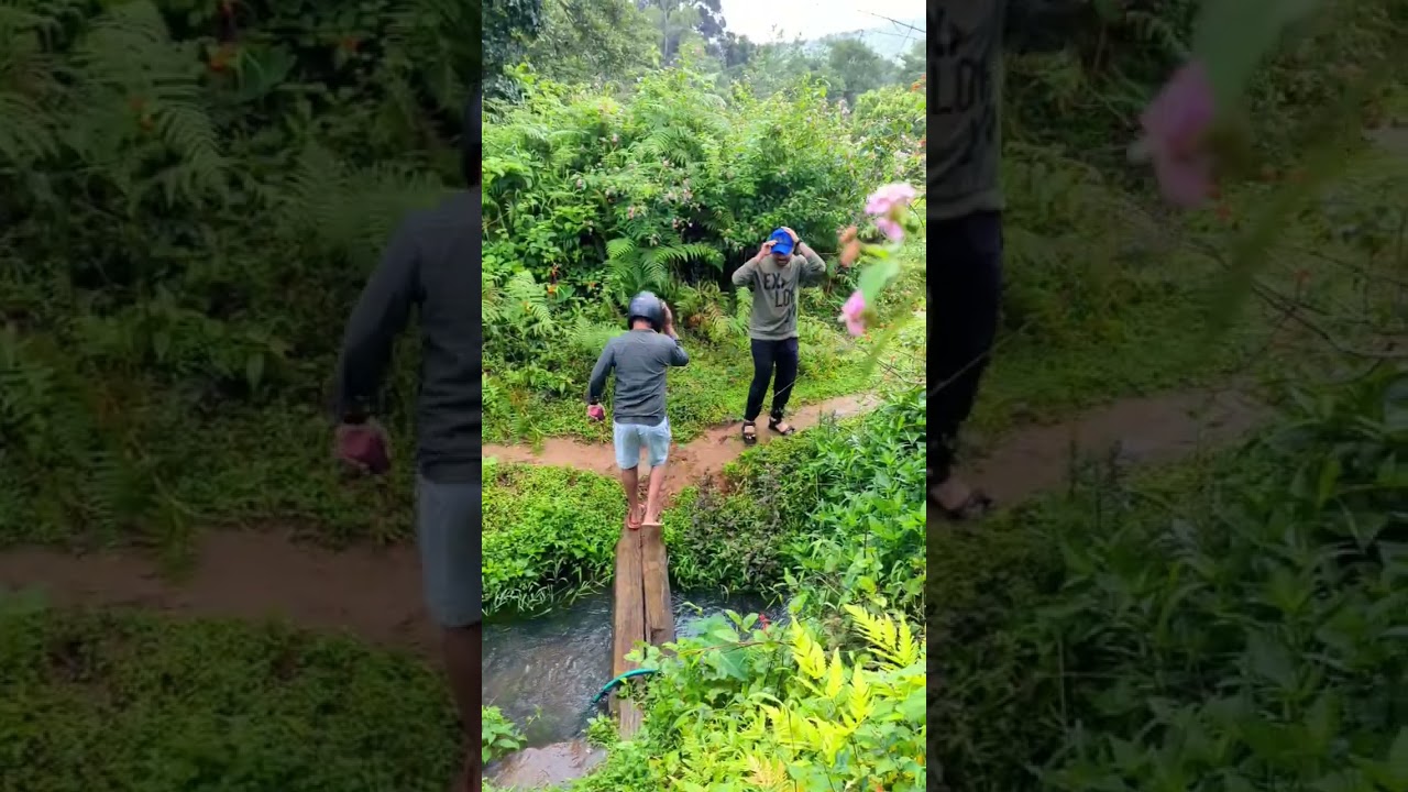 Mallalli Waterfalls ( Coorg Karnataka) 🏞
