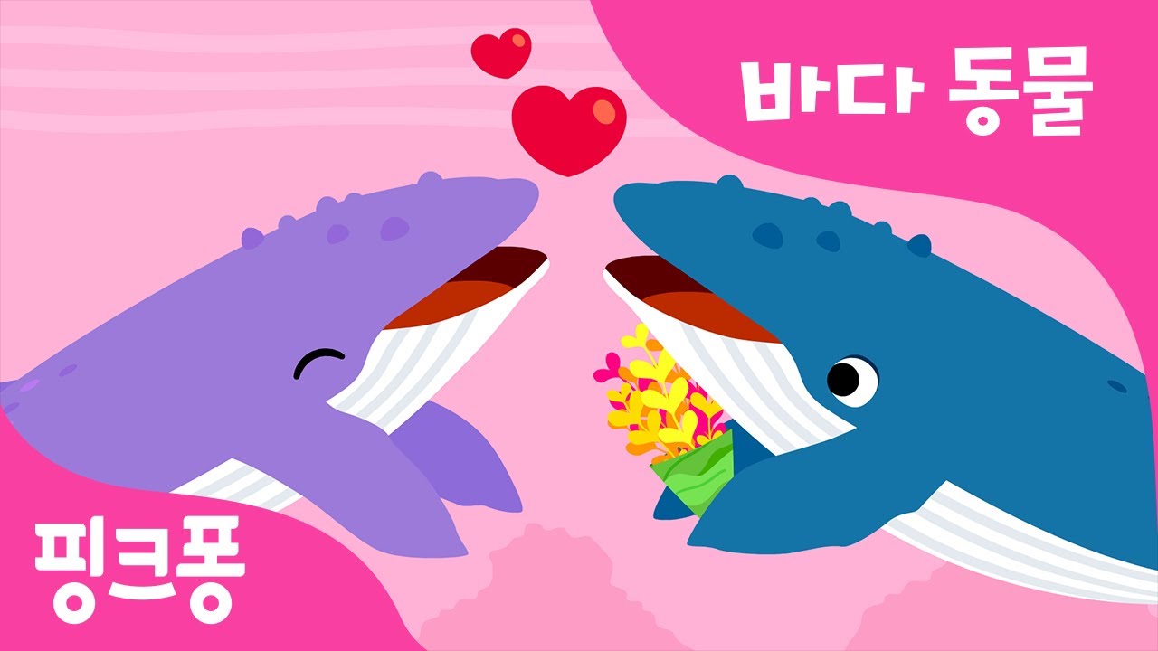 고래 | 바다의 사랑꾼! | 바다 동물 | 동물동요 | 핑크퐁! 인기동요