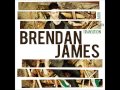 Carriers of the Light - Brendan James