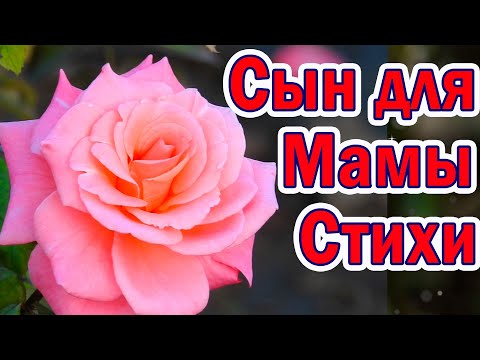 🌹 Стихи о Маме. Трогательные СТИХИ про Маму до Слез