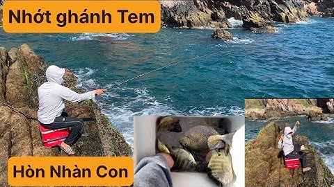 Câu Cá Biển Tự Nhiên, Câu Ghềnh, Cá Róc, Cá Dìa, Cá Vặt. TÝ FISHING ( Vietnamese fishing ).