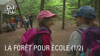 Pendant un an ces écoliers ont suivi leurs cours tous les jours dans la forêt (1/2)