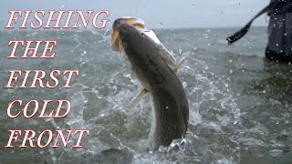 Fishing the First Front with TSFM and FTU by KWigglers Fishing 4,758 views 5 months ago 14 minutes, 17 seconds