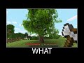 Minecraft wait what meme part 58 realistic minecraft tree