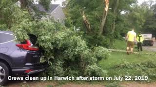 Trees uprooted in Harwich after storm