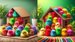 Catch Cute Chicks | Rainbow Colourful Chicken | duck | rabbit | turtle | fish | Cardboard House