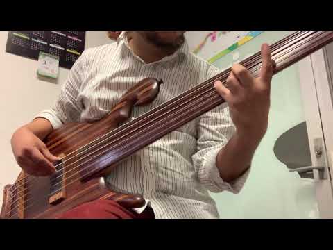 carl-thompson-fretless-6-string-bass