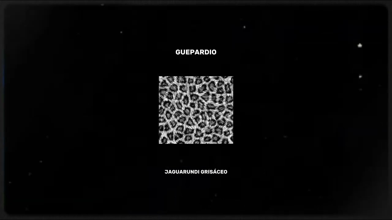 Guepardio - Jaguarundi Grisáceo [Audio]