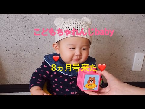 こどもちゃれんじベビー8ヵ月号です。