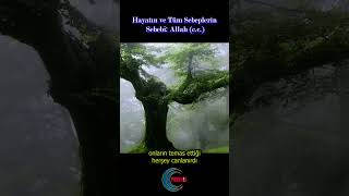 Hayatın maddi sebebi nedir? #bilim #evrim #shortsvideo