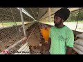 Penal chicken farmer facing demolition