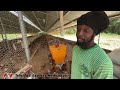 Penal chicken farmer facing demolition