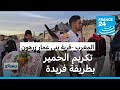 المغرب: طريقة &quot;لطيفة&quot; لتكريم الحمار! • فرانس 24 / FRANCE 24