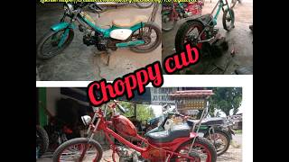 Choppy Cub