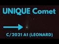 UNIQUE COMET C/2021 A1 (LEONARD) TIMELAPSE
